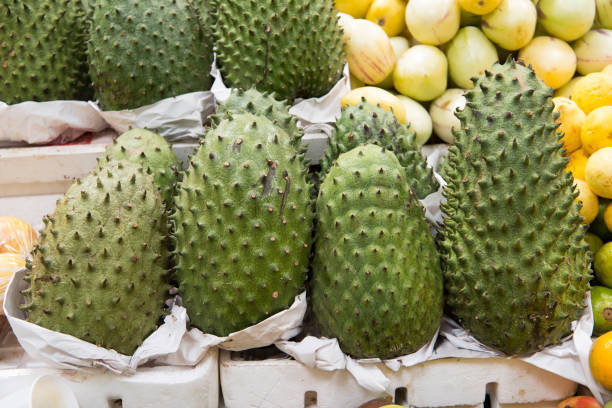 Fresh guanabana, or soursop, tropical fruit Soursop, also called guanabana, for sale in tropical fruit market, Ecuador, South America. annona muricata stock pictures, royalty-free photos & images