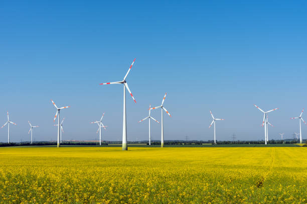 centrales éoliennes dans un champ de colza floraison - climate wind engine wind turbine photos et images de collection