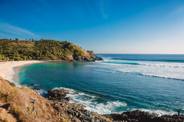istock Tropical beach and waves for surfing in ocean with blue sky 962042476
