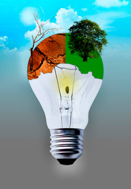 istock Save the world turn off your light - Dying tree and green tree on Light bulb 962045126
