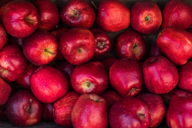 istock Fresh Red apples background. Autumn harvest concept. Free space for text . Top view