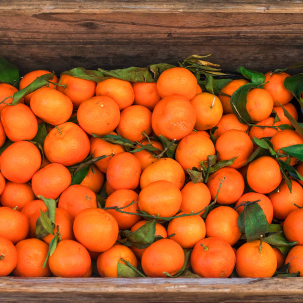 citrus. fresh oranges in a box on display at a farmers market or store. harvest concept. top view - gift orange green package imagens e fotografias de stock