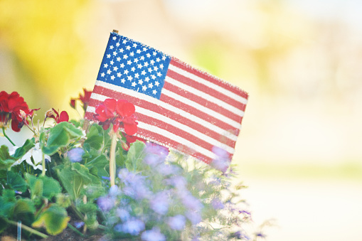 Memorial Day background with American flag in sunshine