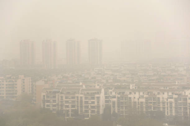 istock Foggy city in Sichuan, China 962049832
