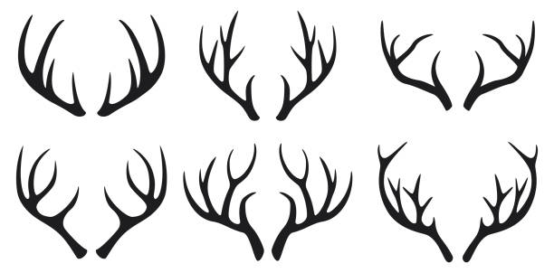 illustrations, cliparts, dessins animés et icônes de bois de cerf noir icônes sur fond blanc - horned