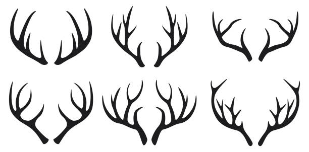 사슴 뿔 블랙 아이콘 흰색 배경 설정 - deer season stock illustrations