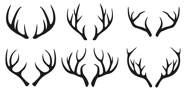 Vector illustration of Deer antlers black icons set on white background