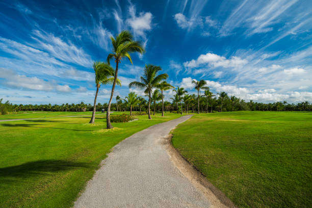 istock Golf course in the tropical island 962061484
