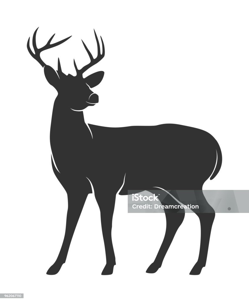 Silhouette of deer with antlers on white background Vector illustration of Silhouette of deer with antlers on white background Deer stock vector