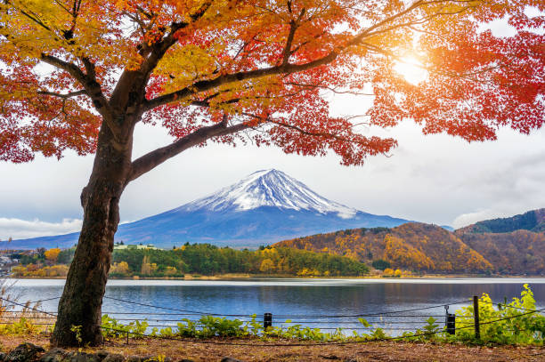 stagione autunnale e montagne fuji sul lago kawaguchiko, giappone. - volcano mt fuji autumn lake foto e immagini stock