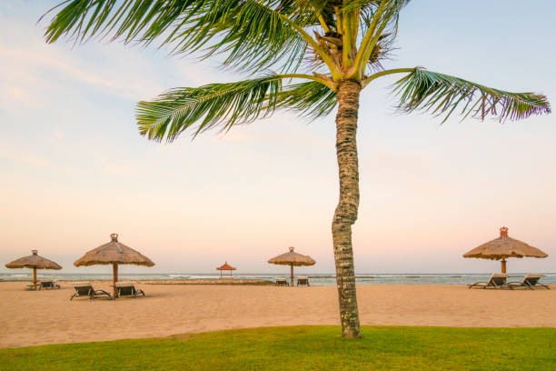 istock Coconut Palm trees on white sandy beach, Vacation holidays background wallpaper. View of nice tropical beach. 962071316