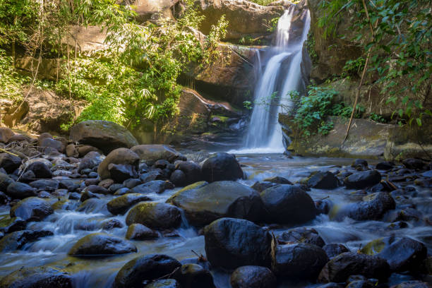 istock Little waterfall in the jungle 962071440