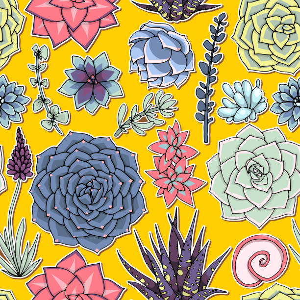 Succulents seamless pattern. Succulent ornament.  Natural composition. Colored succulents and cactus floral print. Hand drawn art work.