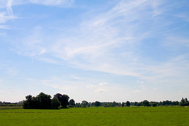 Dutch landscape stock photo