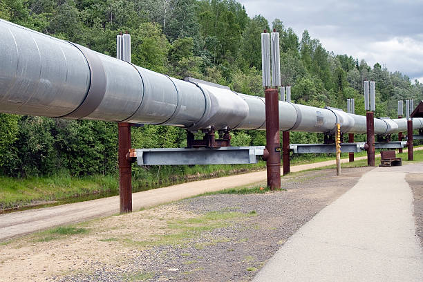 Trans-Alaska Pipeline Wide angle photo of the Trans-Alaska Pipeline. natural gas extraction stock pictures, royalty-free photos & images