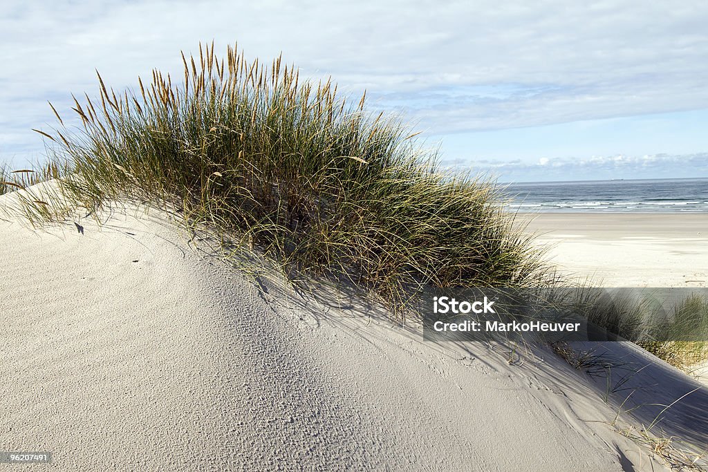 Hierba sobre Dunas de arena en la playa y el mar de fondo - Foto de stock de Agua libre de derechos