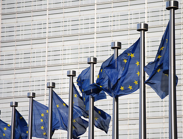 istock Flags of European Union 96207594