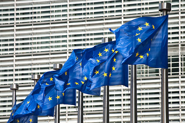 istock Flags of European Union 96207744