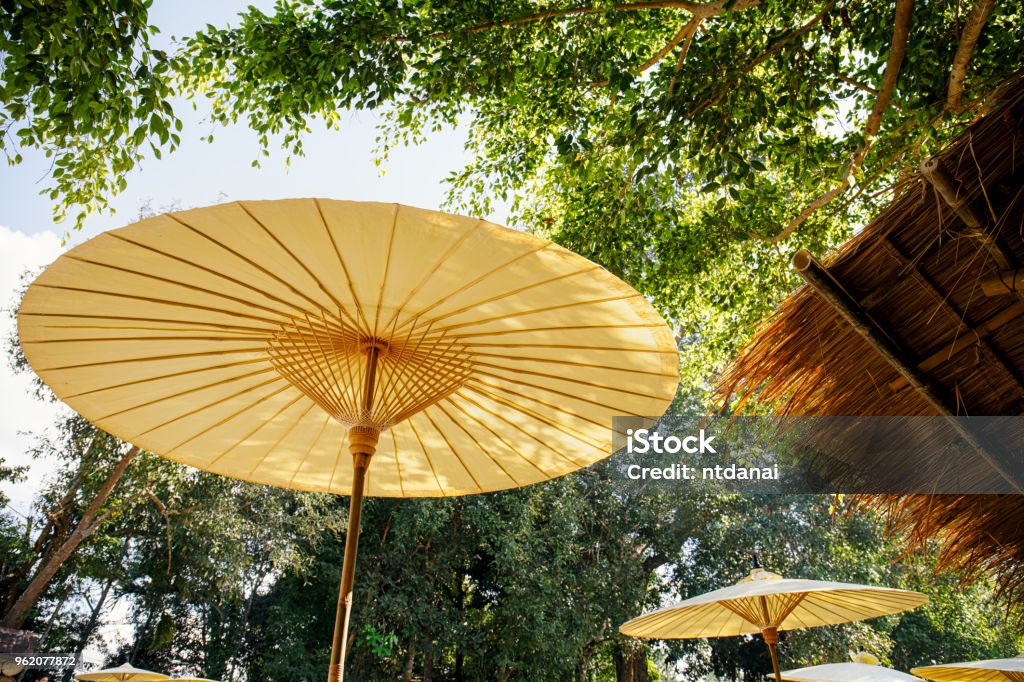 Paraguas De Tradicional Sobre Fondo Verde De La Naturaleza Foto de stock más banco de de - Color - iStock