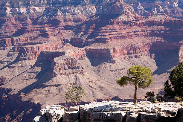 Grand Canyon stock photo