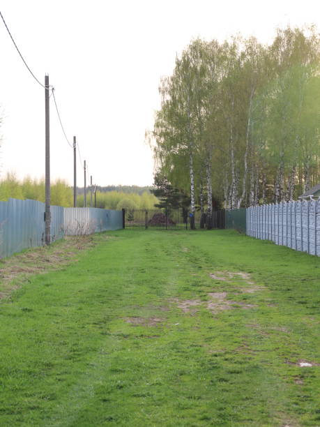 istock country road in the village 962082792