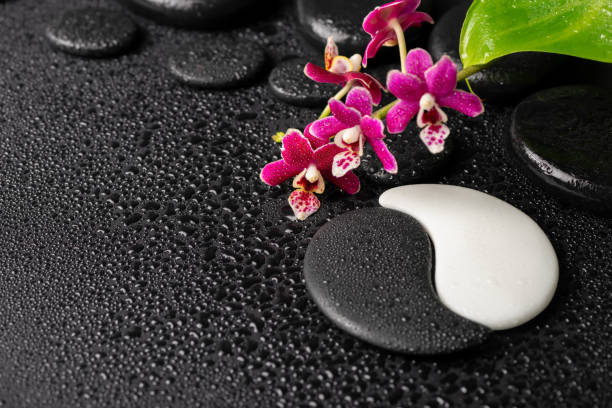 spa concept of zen and sign Yin-Yang stones, orchid Beautiful spa concept of zen and sign Yin-Yang stones with drops, red orchid (phalaenopsis) and green leaf. Copy space dieng plateau stock pictures, royalty-free photos & images