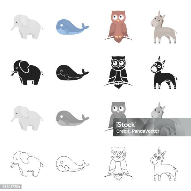 An Elephant A Large Land Animal A Whale A Donkey A Night Owl Animals Set Collection Icons In Cartoon Black Monochrome Outline Style Vector Symbol Stock Illustration Web Stock Illustration - Download Image Now