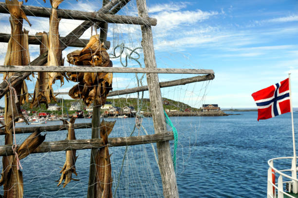 ノルウェーの伝統的な干し魚 - stockfish ストックフォトと画像