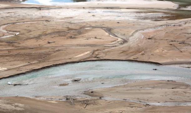 istock swamp with water and quicksand 962095284