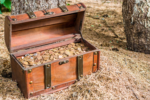 Hidden treasure chest with precious treasure
