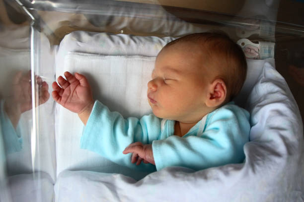 istock Healthy newborn in hospital's bed 96211049
