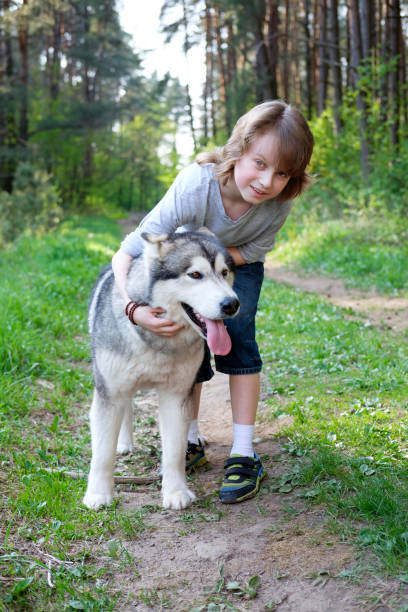 istock boy with his dog malamute on a walk in the forest 962112044