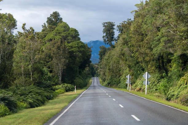 istock New Zealand rainforest road 962114422