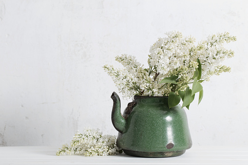 white lilac in old teapot on white background