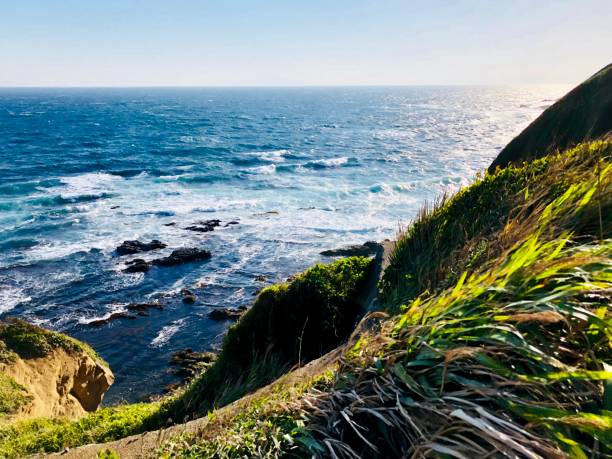istock Johgashima-island with blue sea & green cliff 962120060