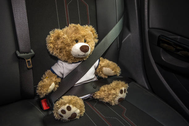 Teddy in the car Safety in the car with the example of a seated, belted teddy bear in the car buckle stock pictures, royalty-free photos & images
