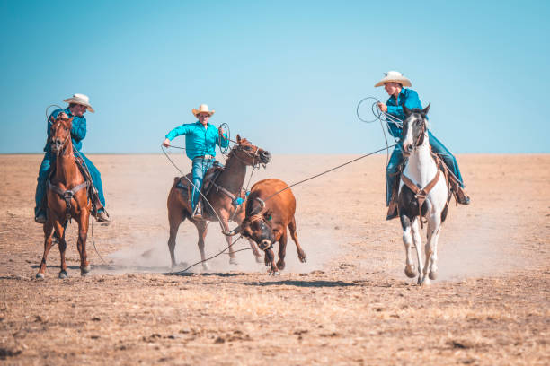istock Cowboys lassoing in nature 962126974