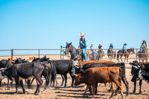 istock Cowboys lassoing in nature 962126976