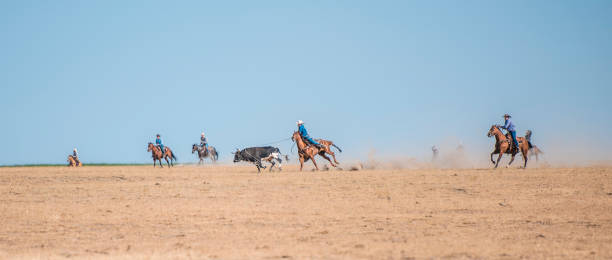 istock Cowboys lassoing in nature 962126988