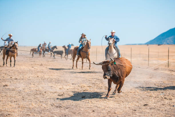 istock Cowboys lassoing in nature 962126998