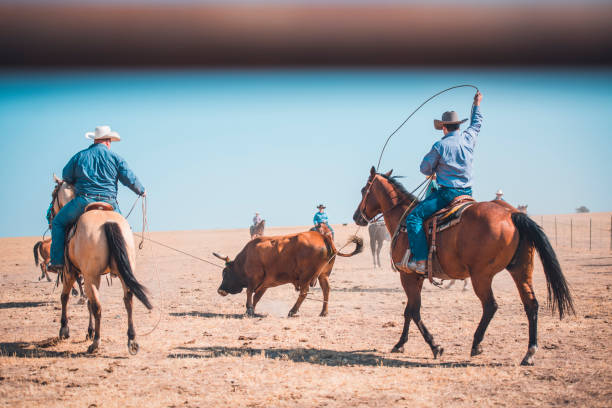 istock Cowboys lassoing in nature 962127000