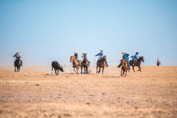 istock Cowboys lassoing in nature 962127008
