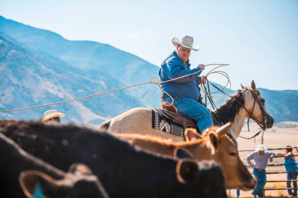 istock Cowboy lassoing in rodeo arena 962127010