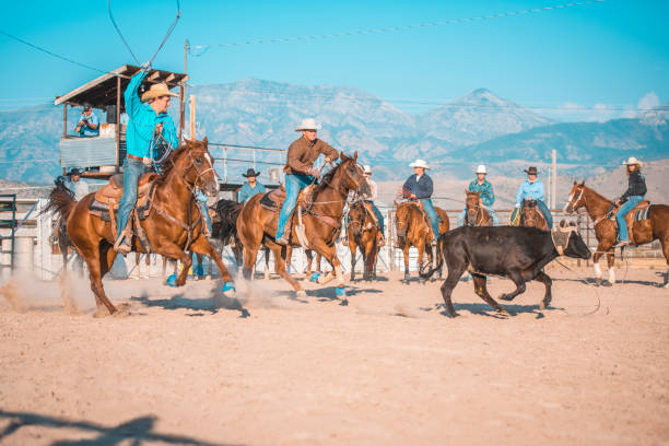 istock Cowboys lassoing in rodeo arena 962127032