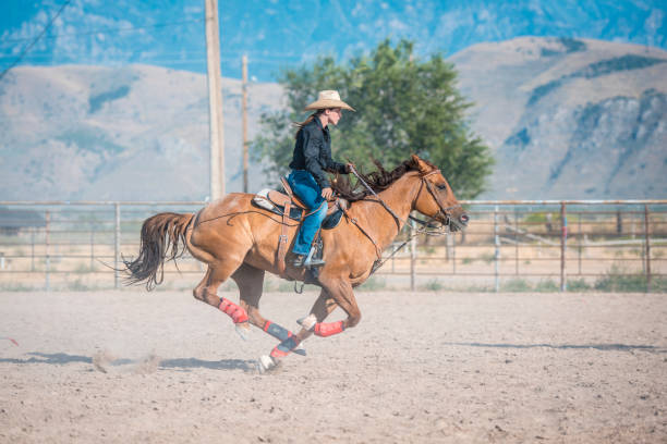 istock Young cowgirl riding horse 962127120