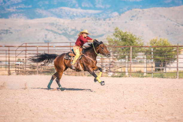 istock Young cowgirl riding horse 962127132