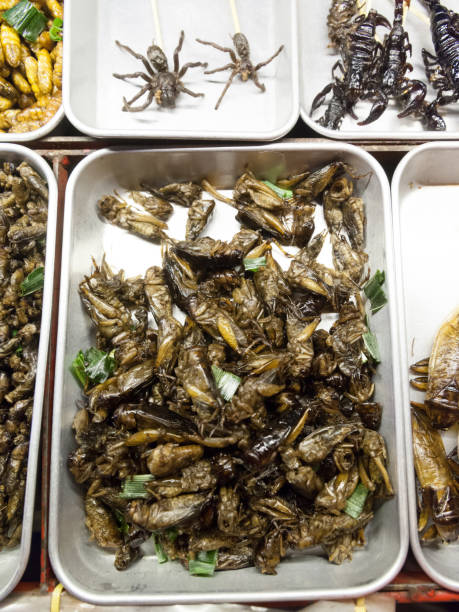 istock Thailand Street Food 962131174
