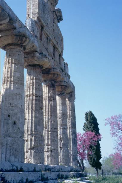 istock Athena temple in Paestum, Italy 962132264