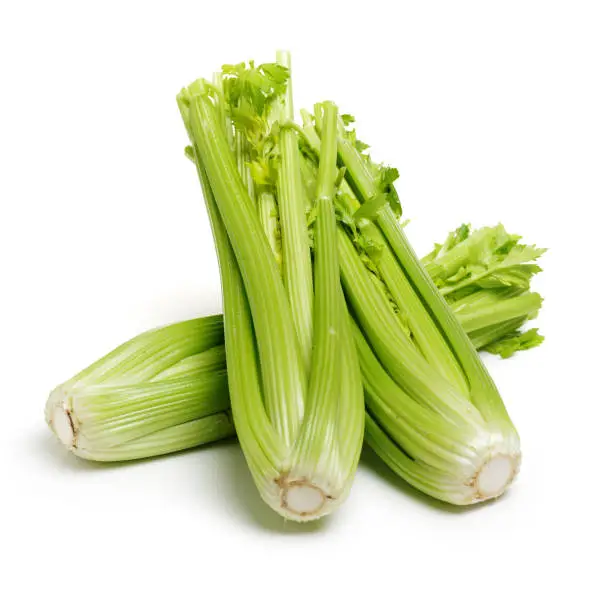 Bunch of Celery on white background