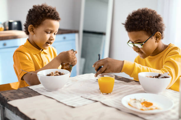 istock Two little brothers feeding their toys in kitchen 962135662